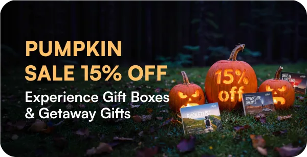 Pumpkin sale 15% off