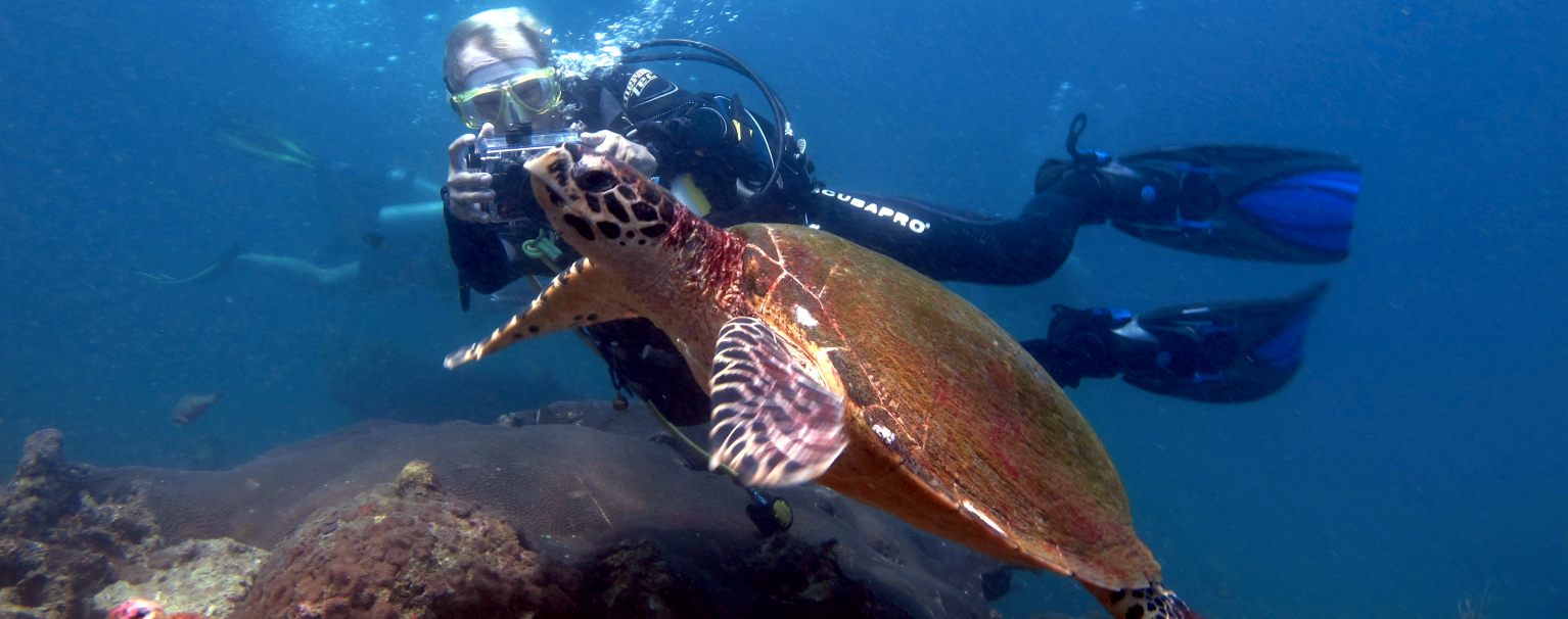 Scuba Diving Experience