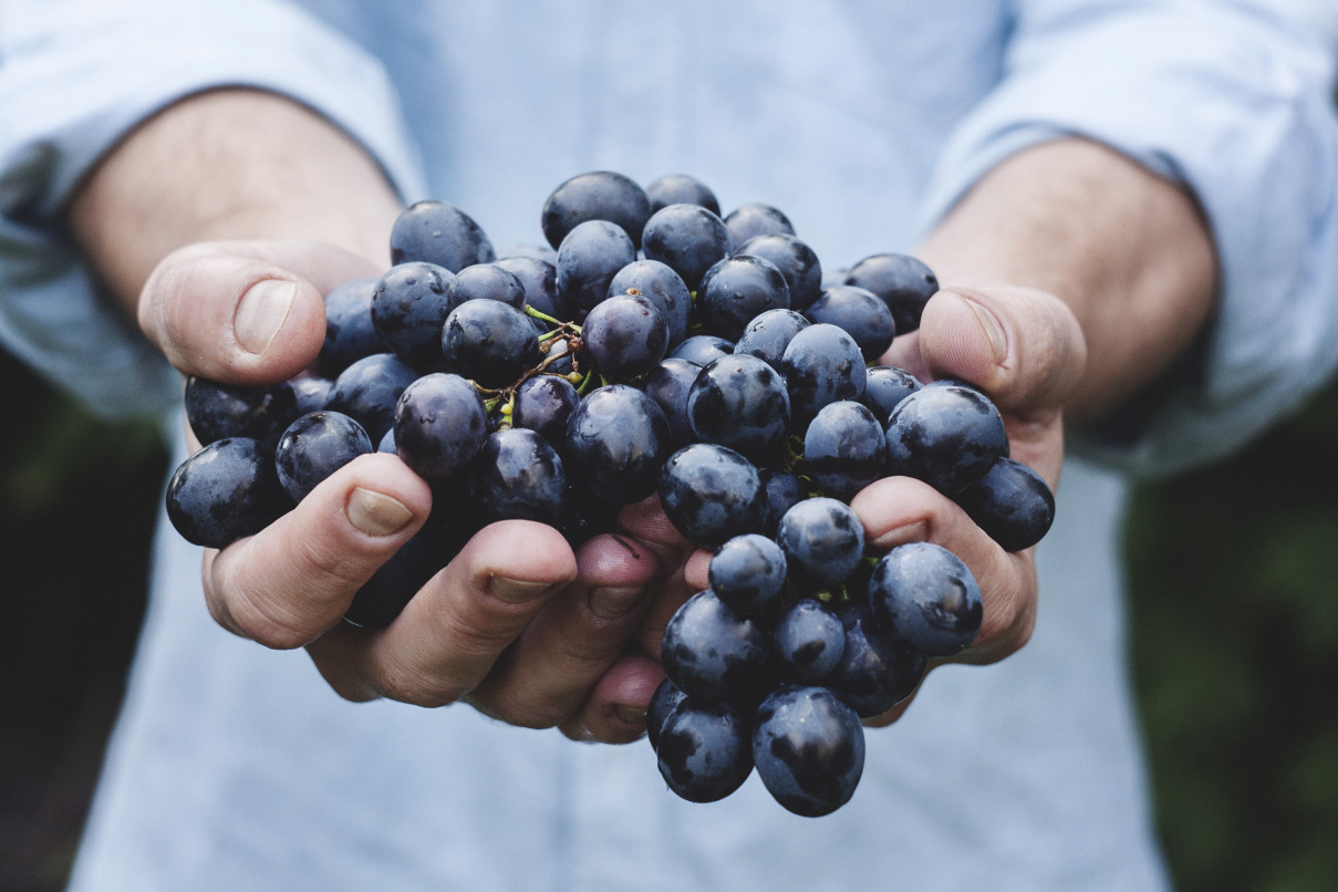 A man holding grapes