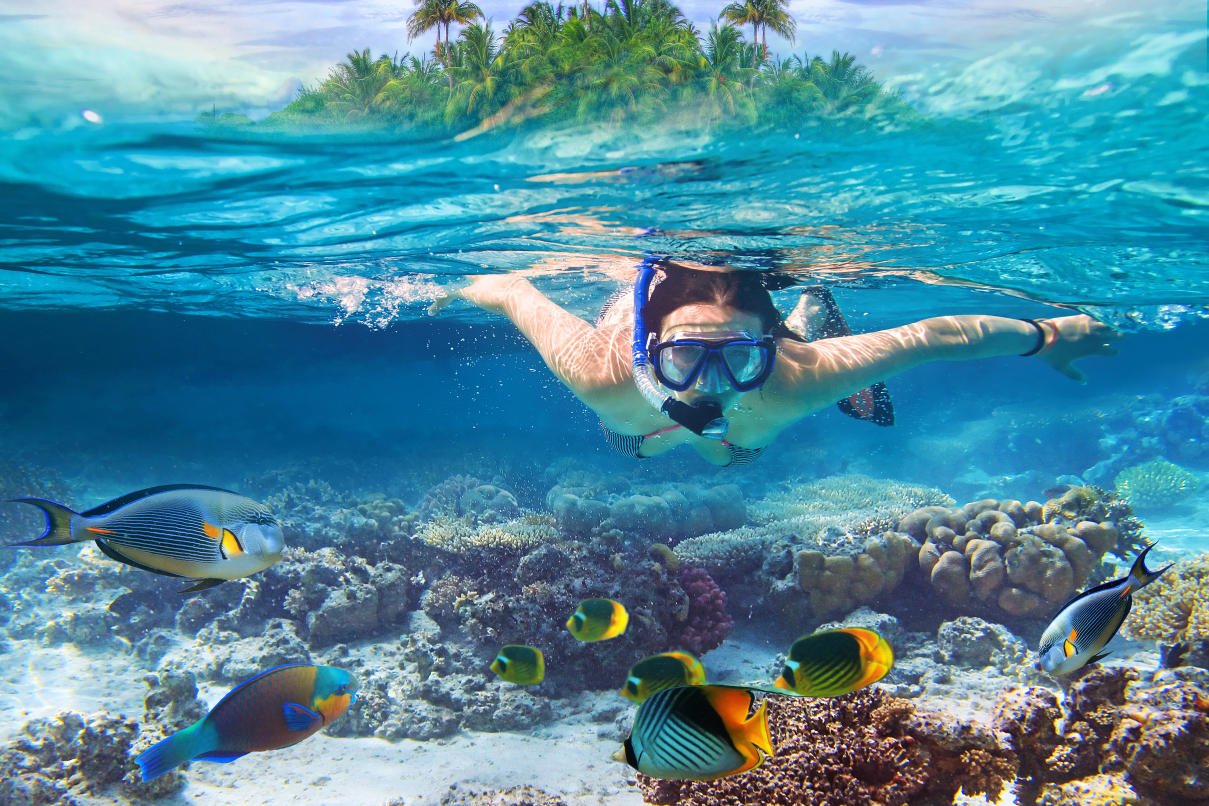 Snorkeling in crystal water