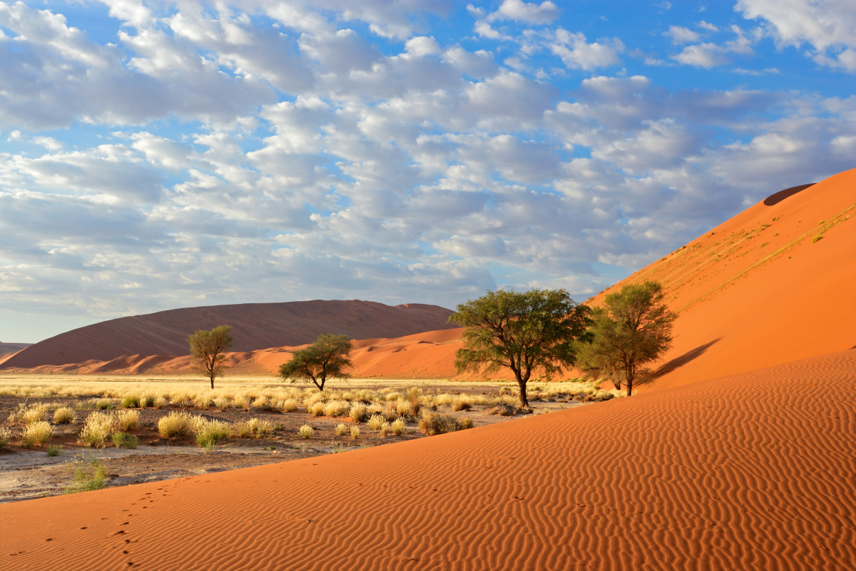 Namibia desert