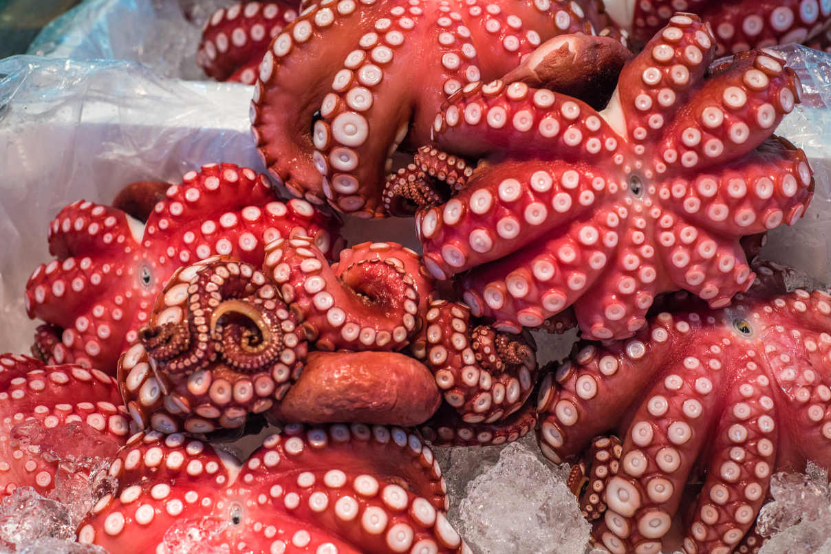 tsukiji seafood market experience