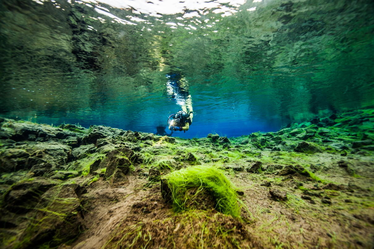 Snorkeling Silfra