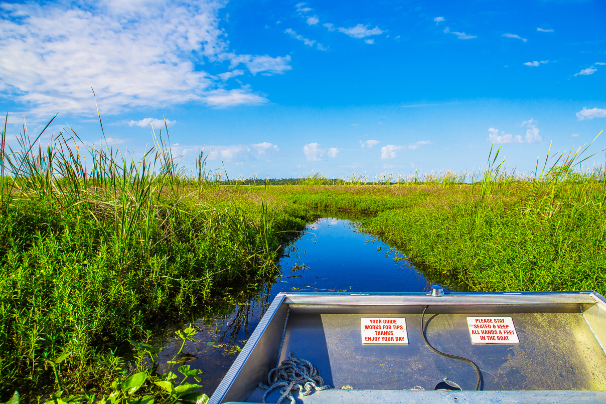 St. John‘s River Airboat Safari Ride in Florida