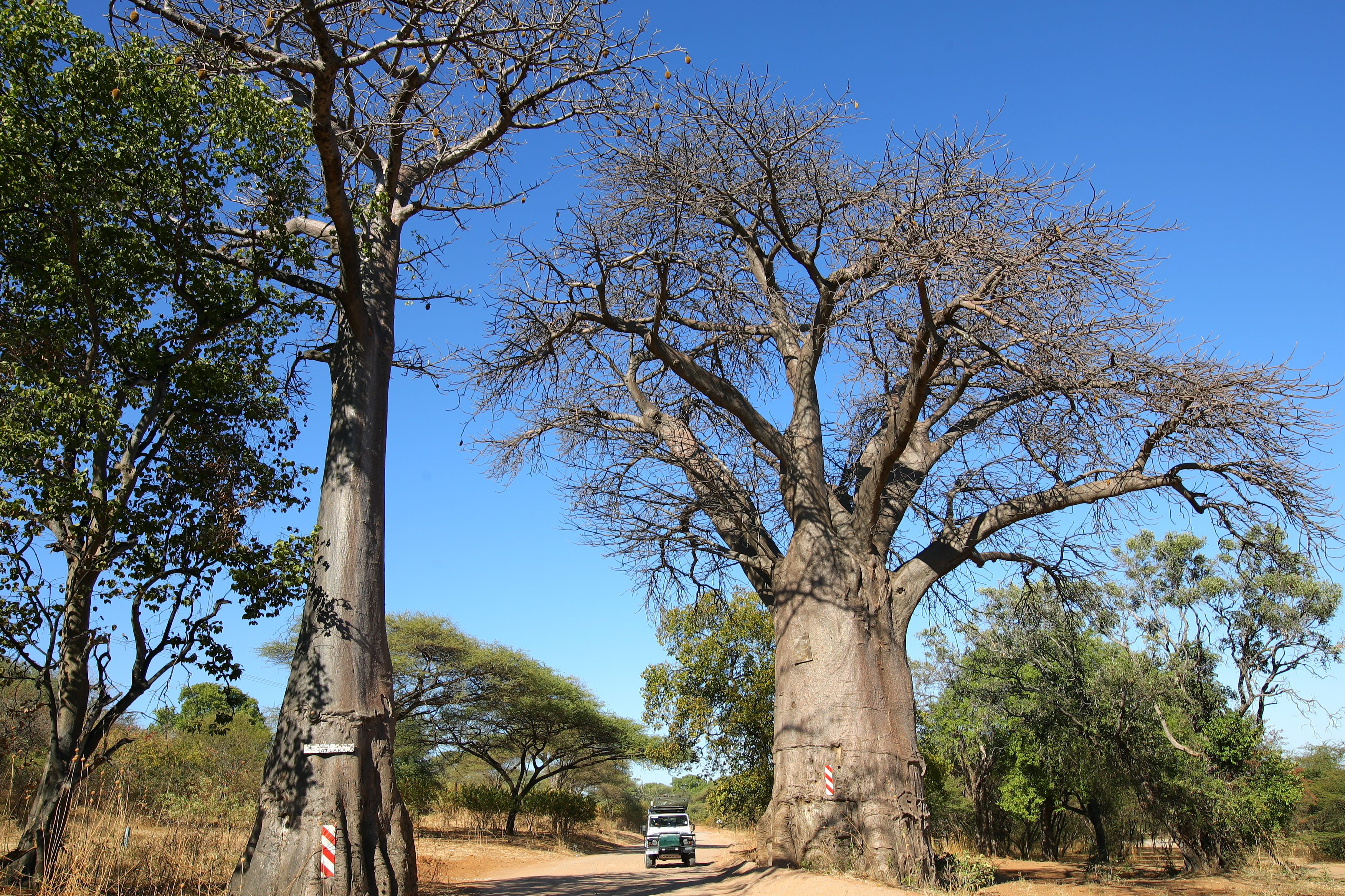 Botswana