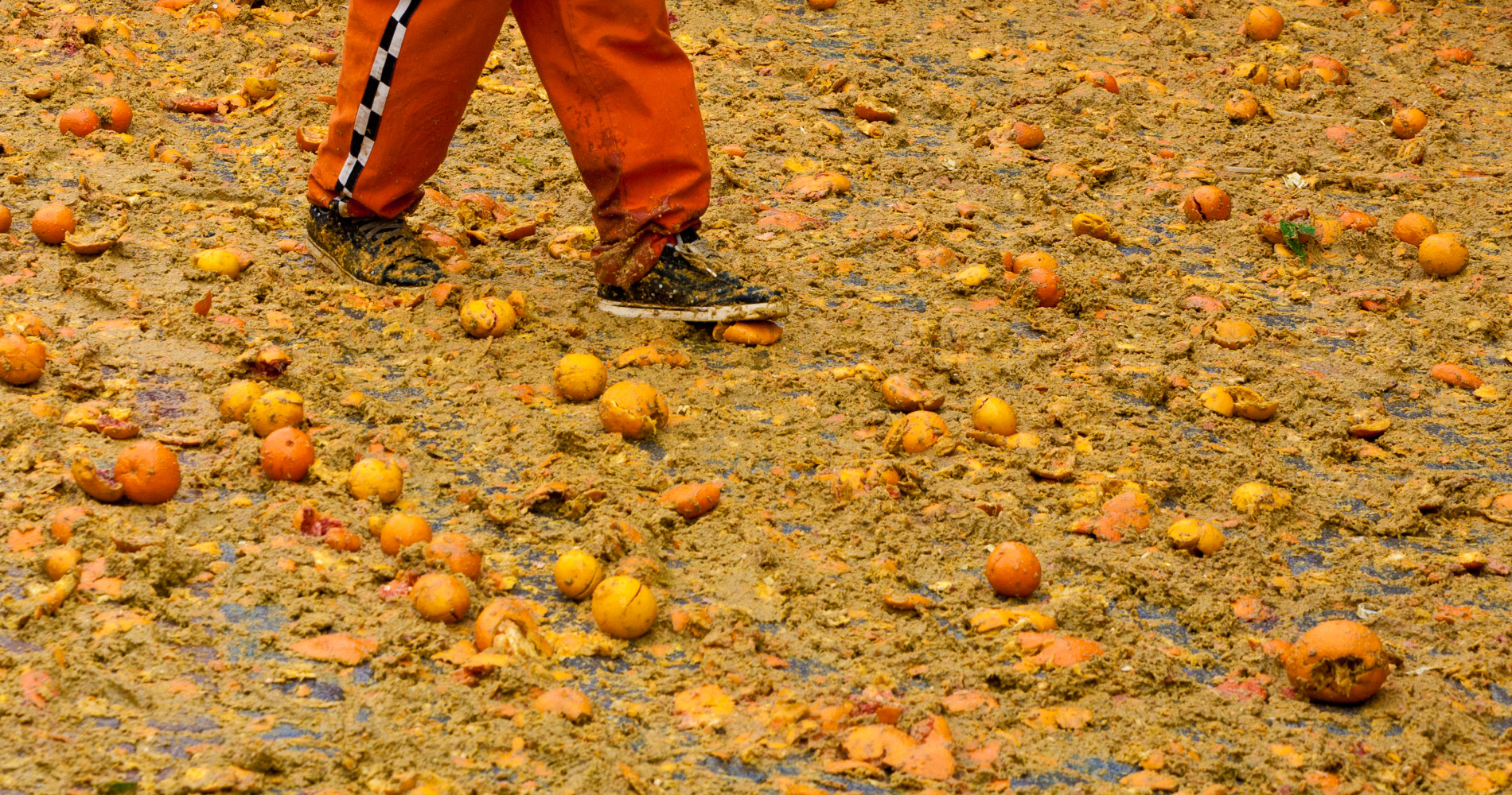 Carnival of Ivrea, Italy