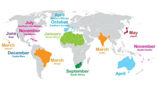 Travel in EconomyBook Shoulder Seasons