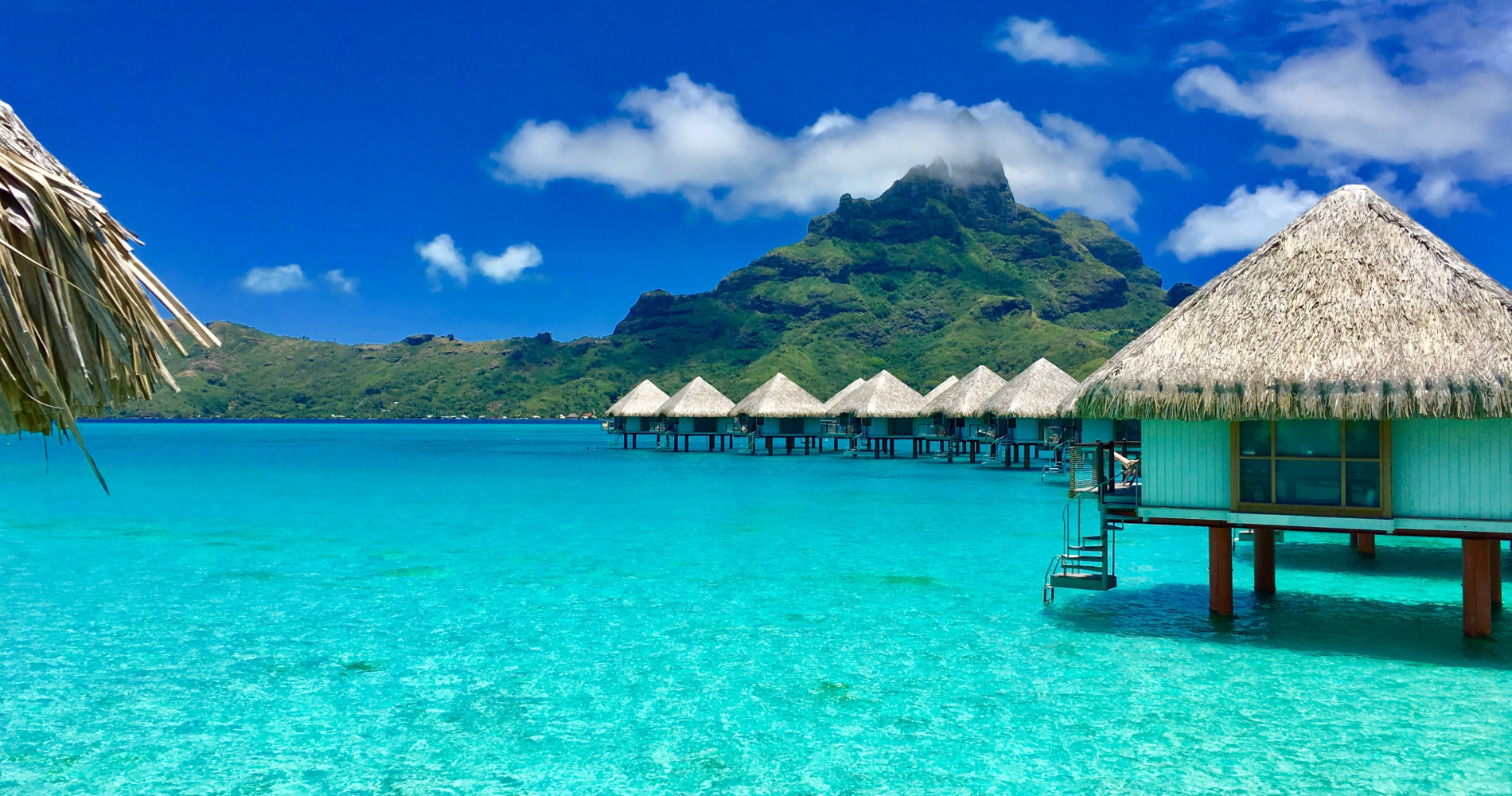 Unique diving experience in Bora Bora