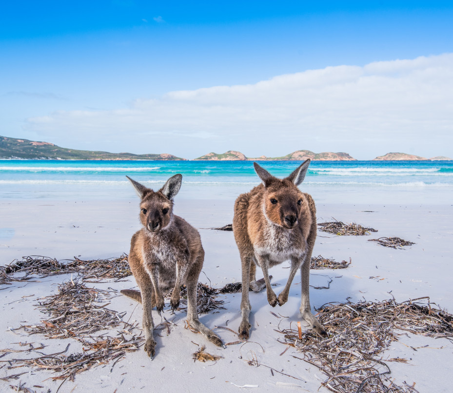 Kangaroo Island