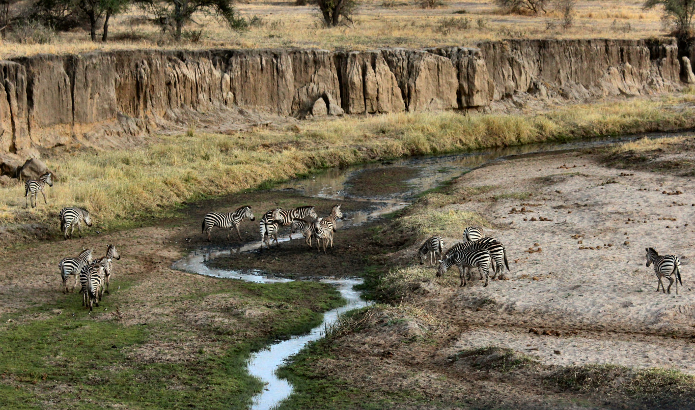 When to take a South Africa Safari