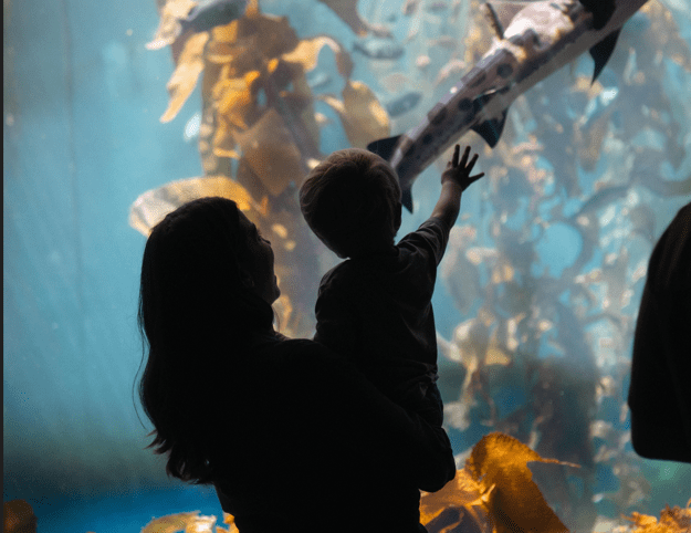Aquarium visit