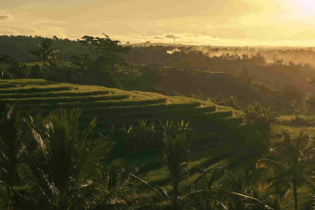 Bali