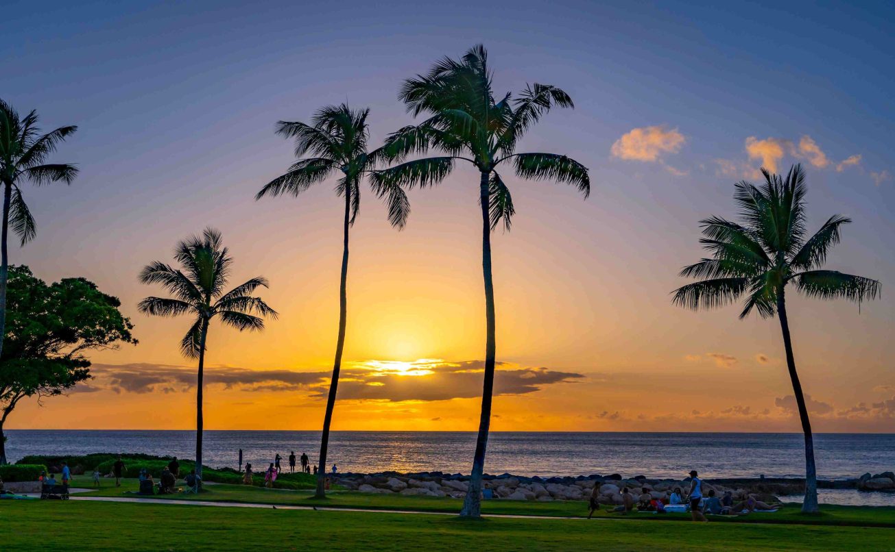 Best christmas gifts Hawaii