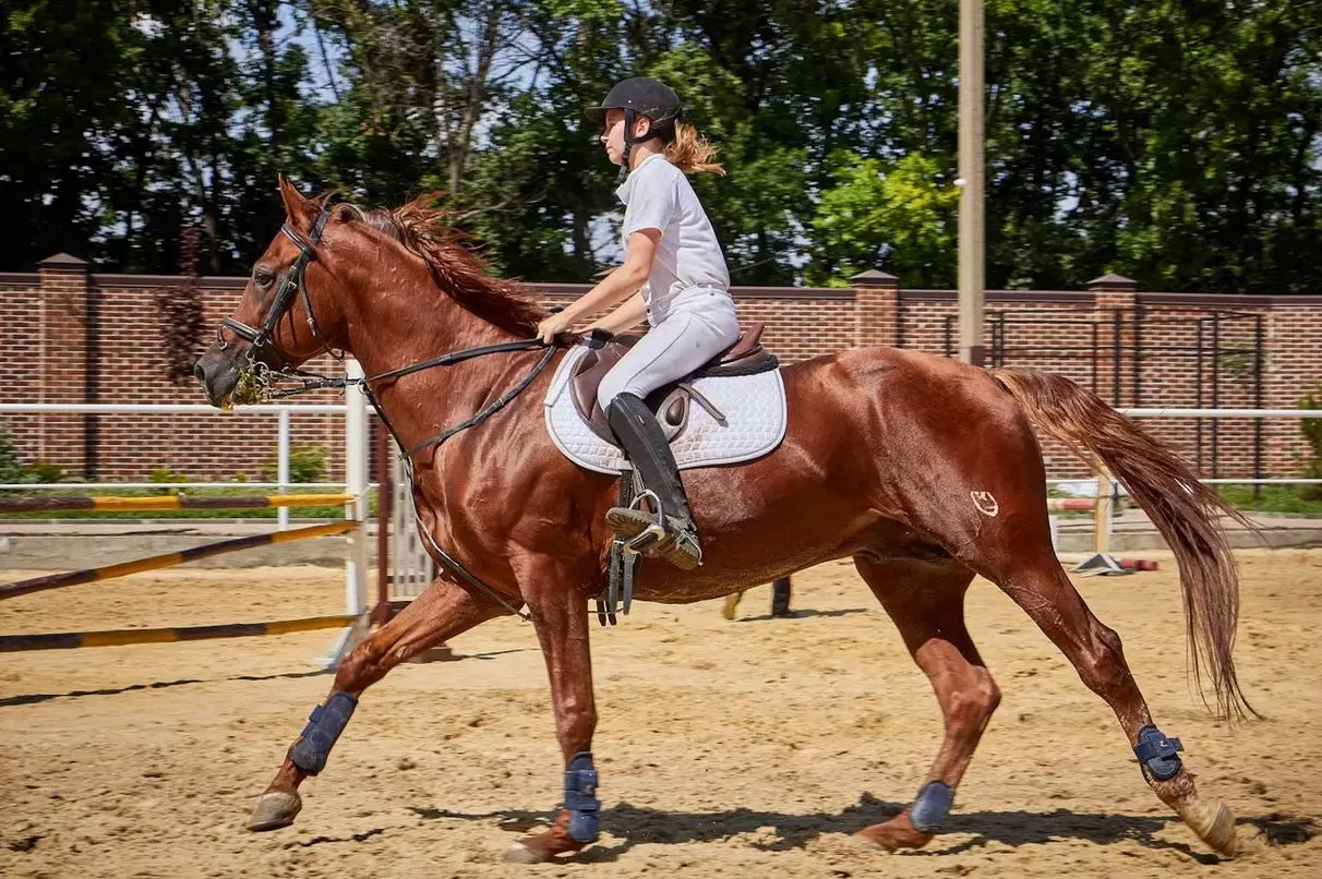 Horse riding experience