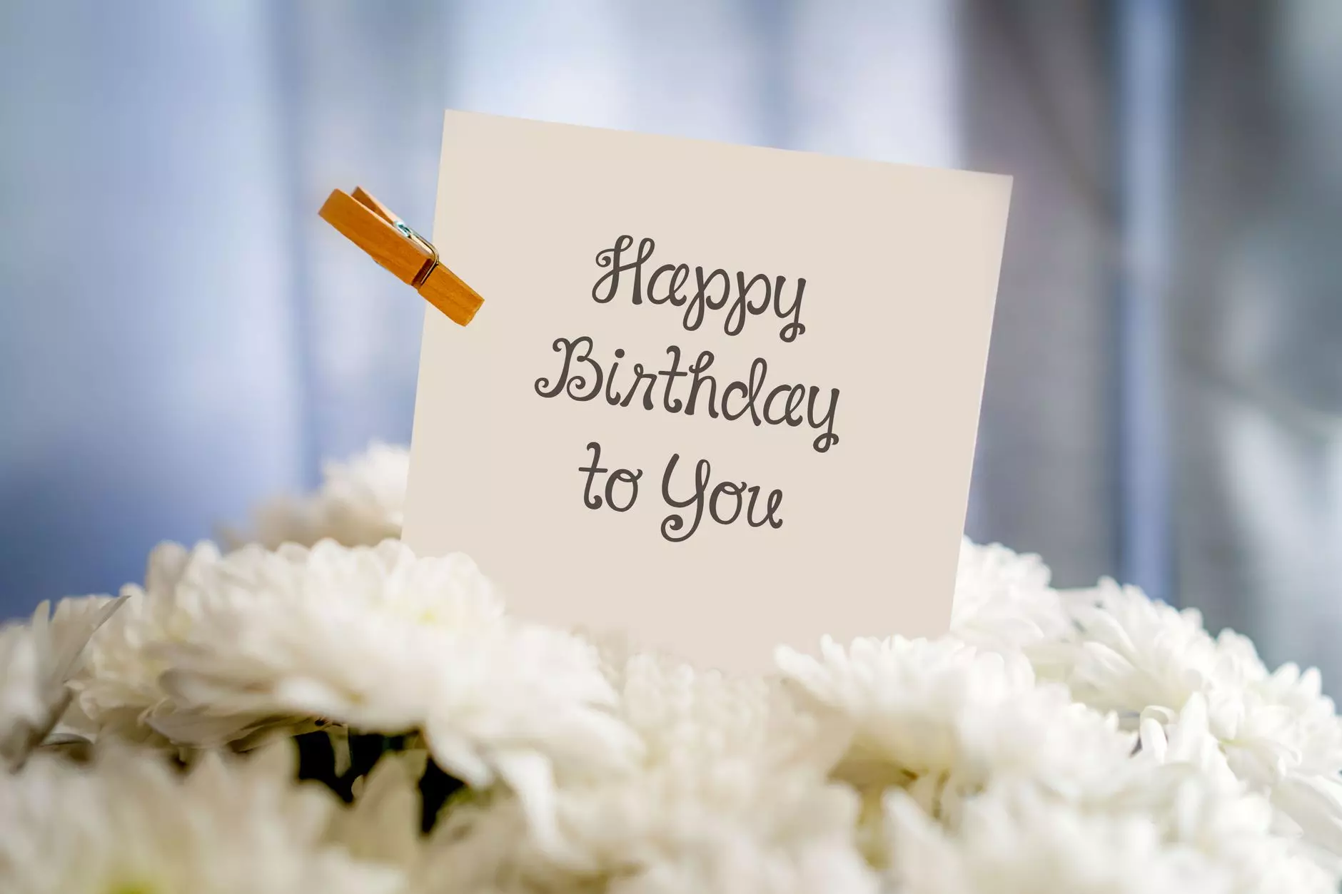 A birthday card with 'Happy Birthday to You' text amidst white flowers for a cheerful celebration.