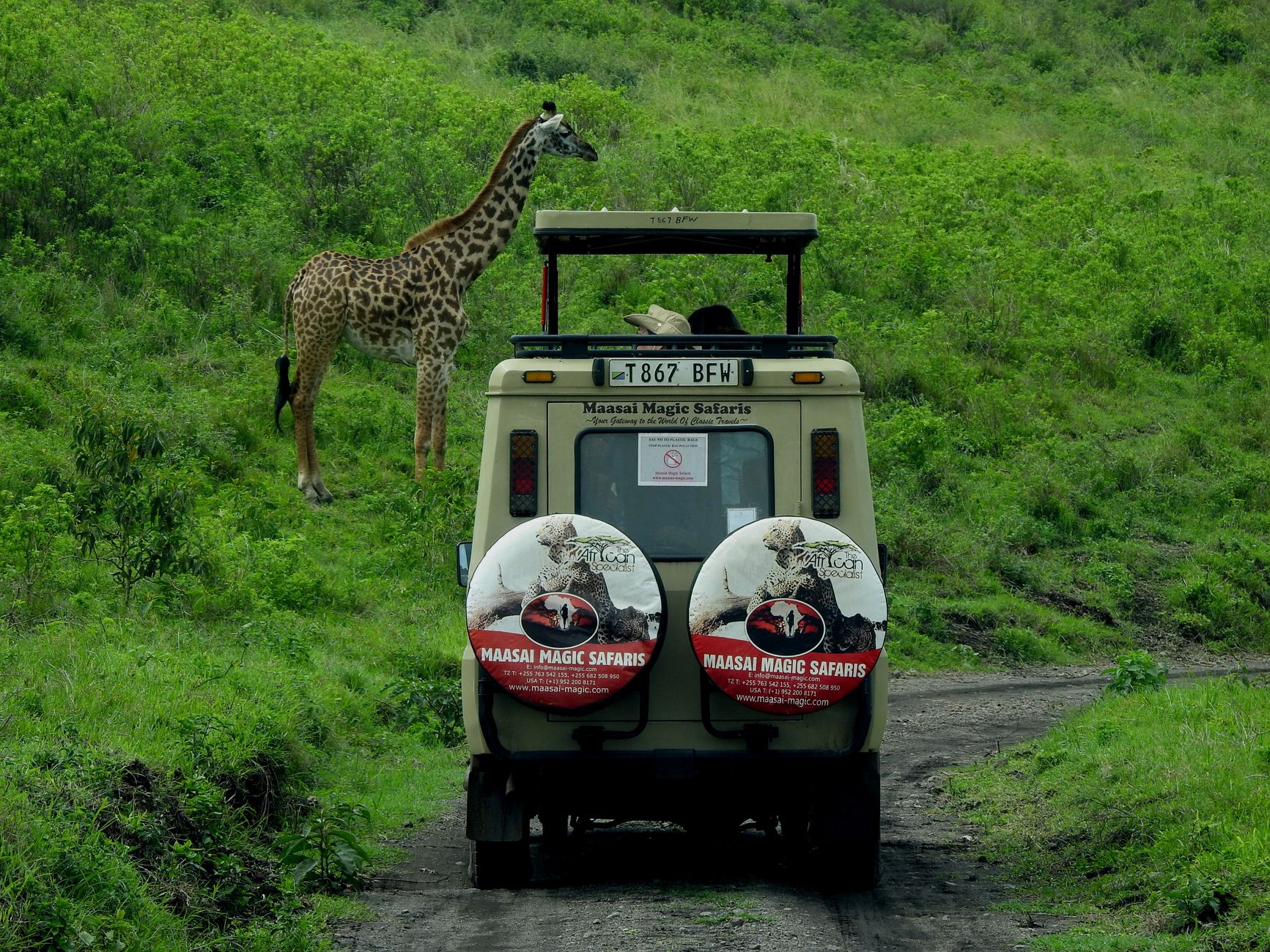 car safari