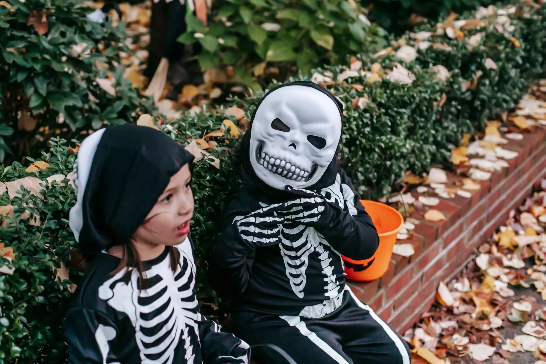 From above of faceless child wearing Halloween skeleton costume frightening preschool girl while sitting together near garden on autumn day
