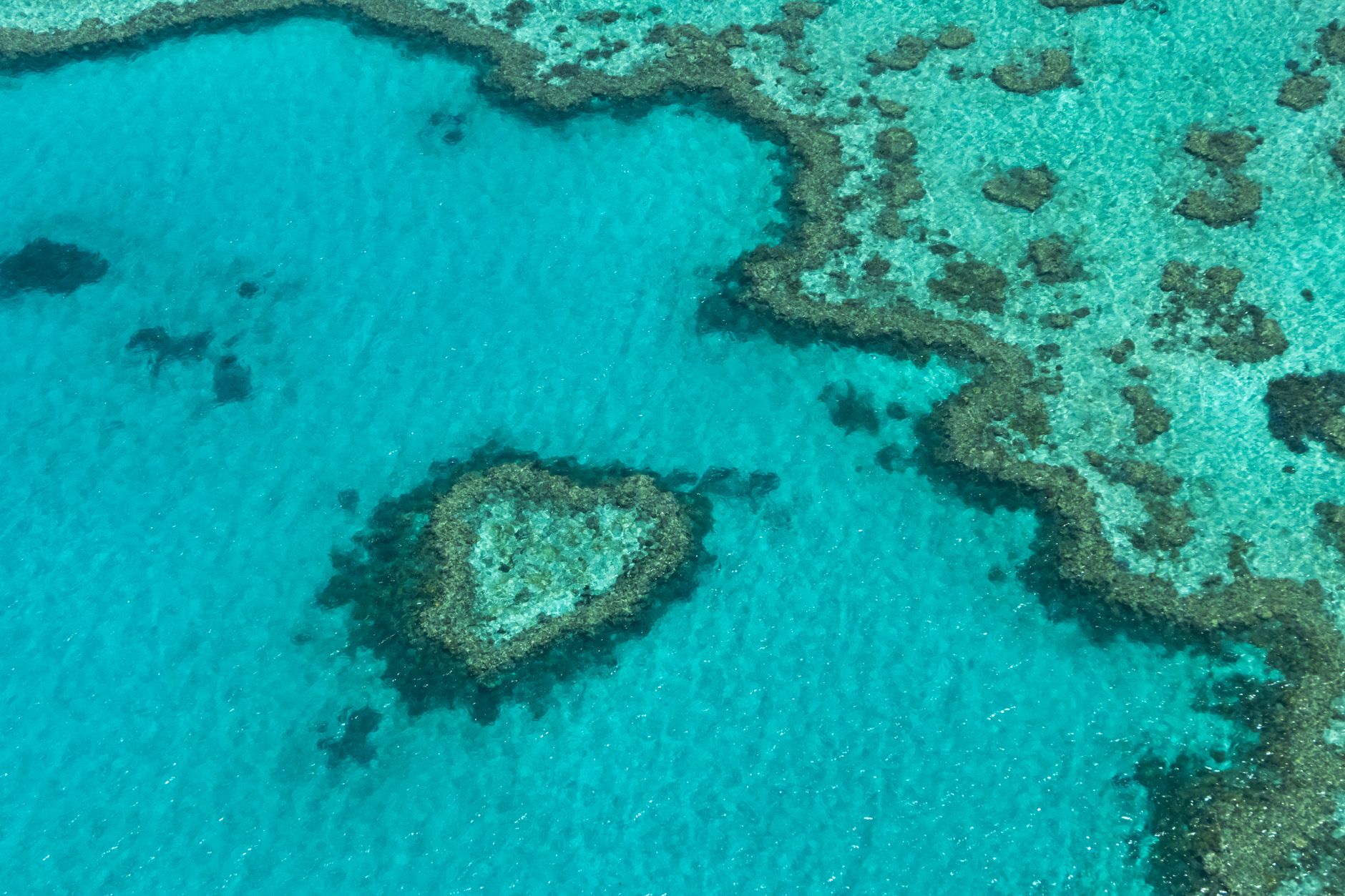 How to get to the Great Barrier Reef