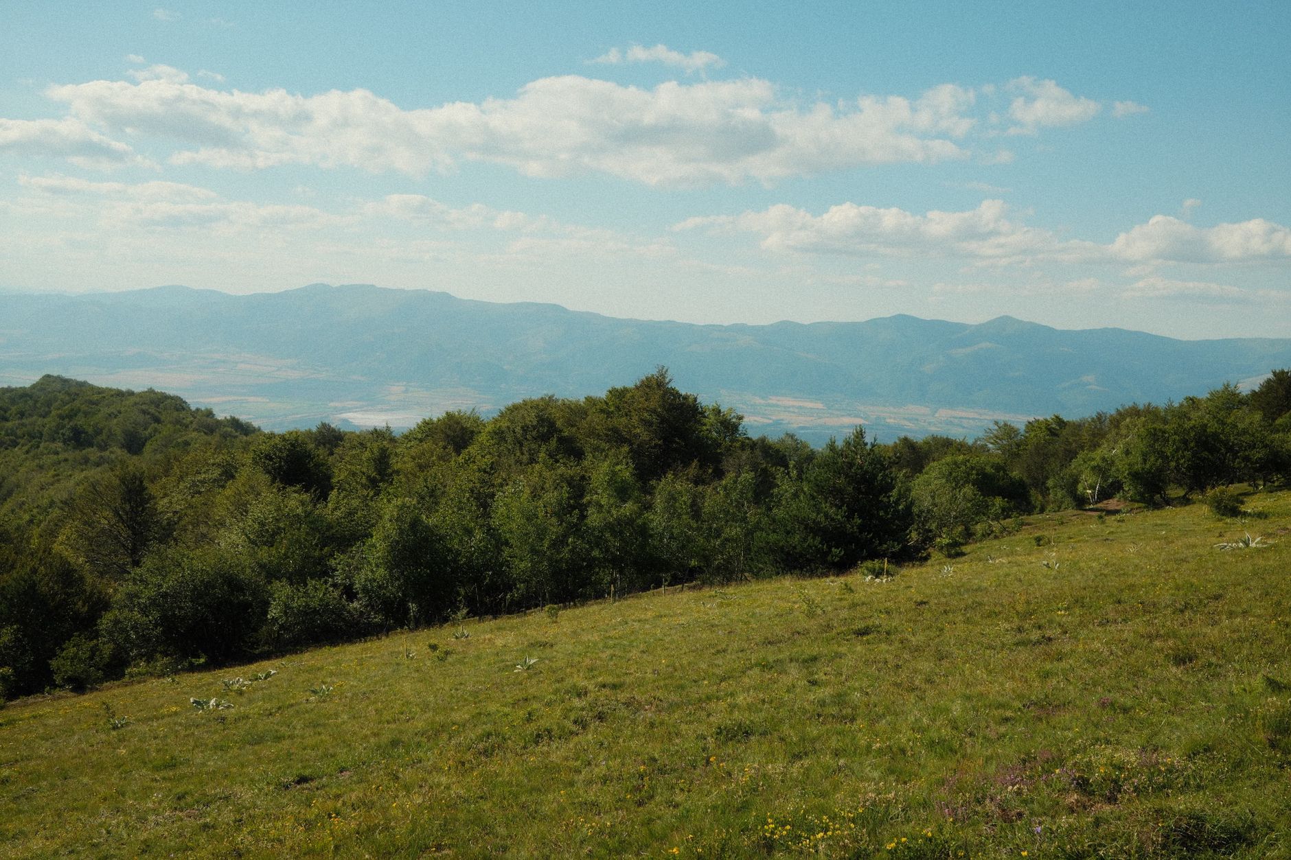 Meadows in the Mountains, Bulgaria