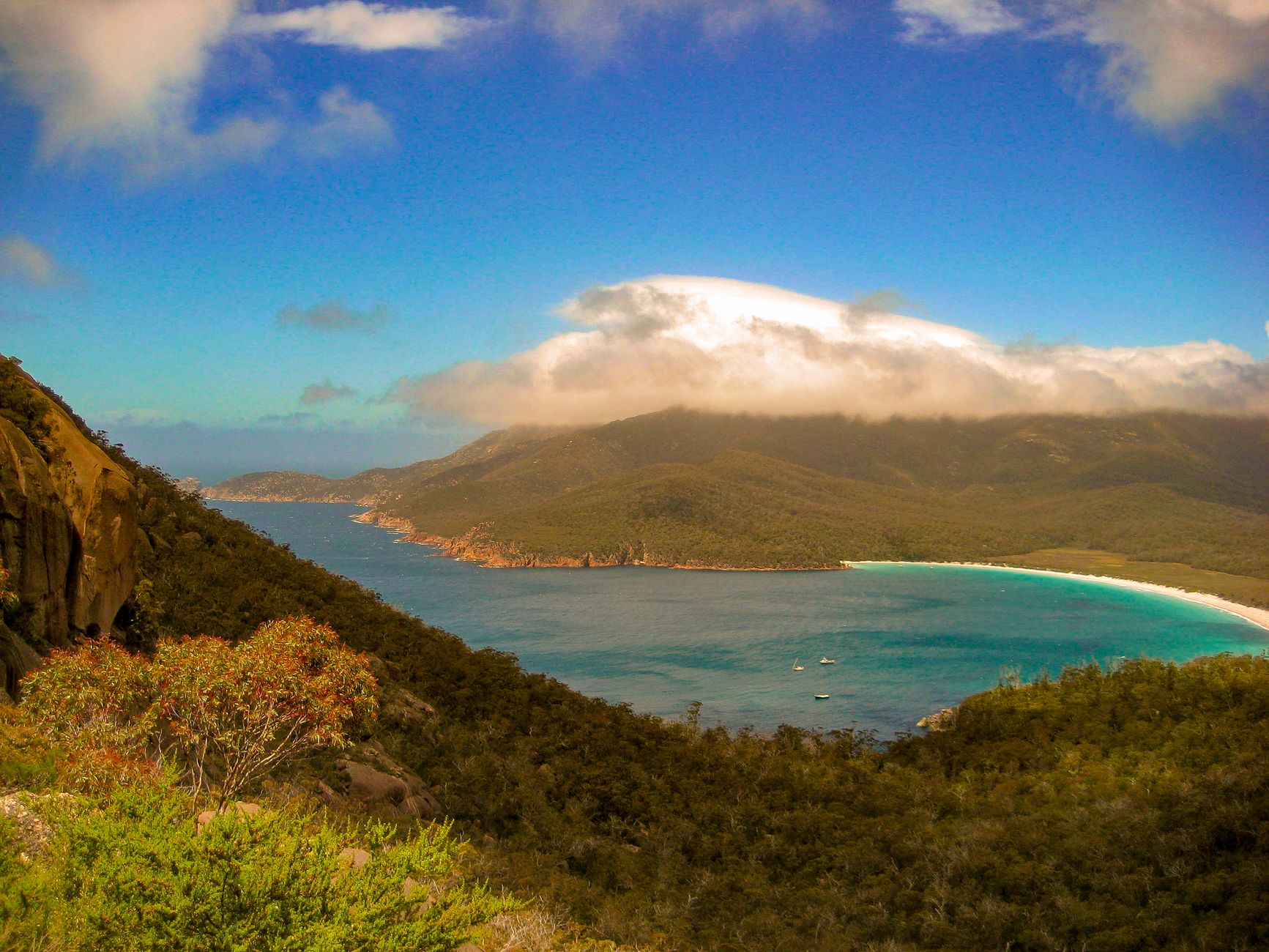 Stunning aerial view of Wineglass Bay featuring pristine waters and lush greenery under a bright sky.