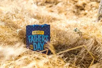 A Happy Father's Day gift bag sits amidst golden grass under the sun, celebrating the occasion.